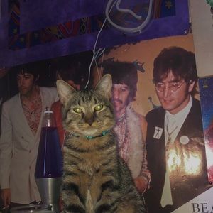 not for sale i just love him